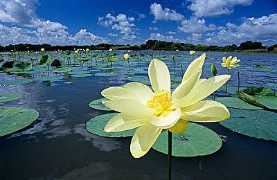 KK官方对战平台新图推荐！什么图让魔兽老玩家欲罢不能？